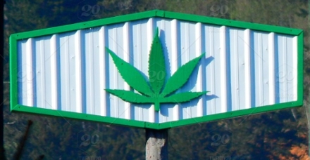 A signboard featuring a cannabis leaf symbol