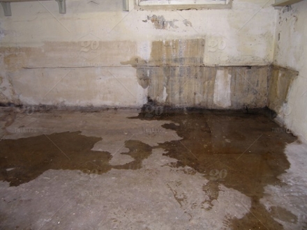 A damp basement with water leakage